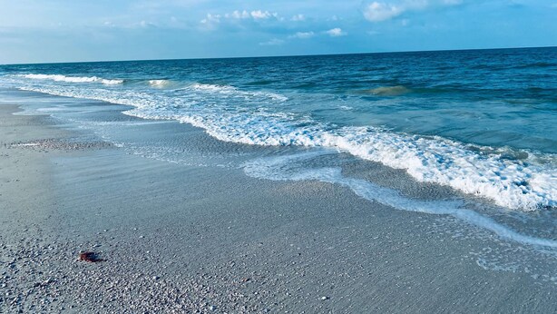 A beach with a clear sky and calm sea. - SHELLebrations: Gulf-Front Penthouse Paradise on Fort Myers Beach, Florida (Fort Myers Beach)