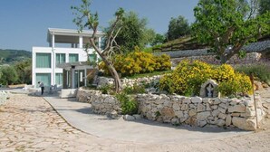Un edificio moderno de dos plantas con un camino de piedra que lleva a una zona de estar.