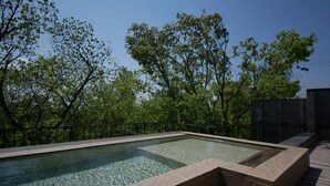 Pool - Soranoniwa Petit Hotel (Nihommatsu)