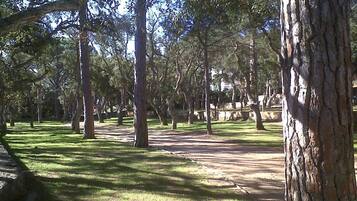 Only Plot. Not tent provided. | WiFi