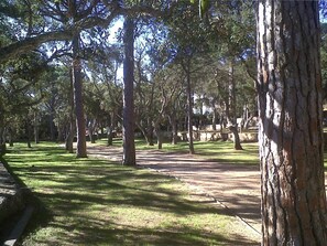 Only Plot. Not tent provided. | WiFi