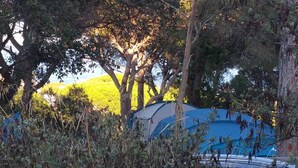 Tent (Plot. No bed. Bring tent.)