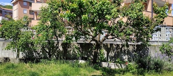 Casa Marina ..中心部からすぐ近くにあります。