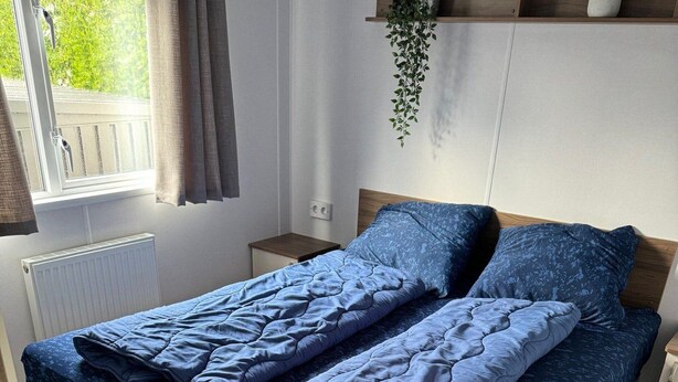A bed with a blue patterned bedspread and pillows, a wooden headboard, a bedside table, and a hanging plant. - RBR 264 - Beach Resort Kamperland (Kamperland)