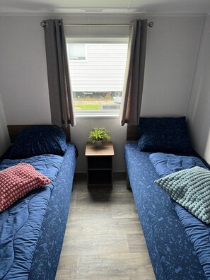 Une petite pièce avec deux lits, une fenêtre et une petite table sur laquelle est posée une plante.