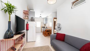 Apartamento básico | Zona de estar | Una televisión de pantalla plana