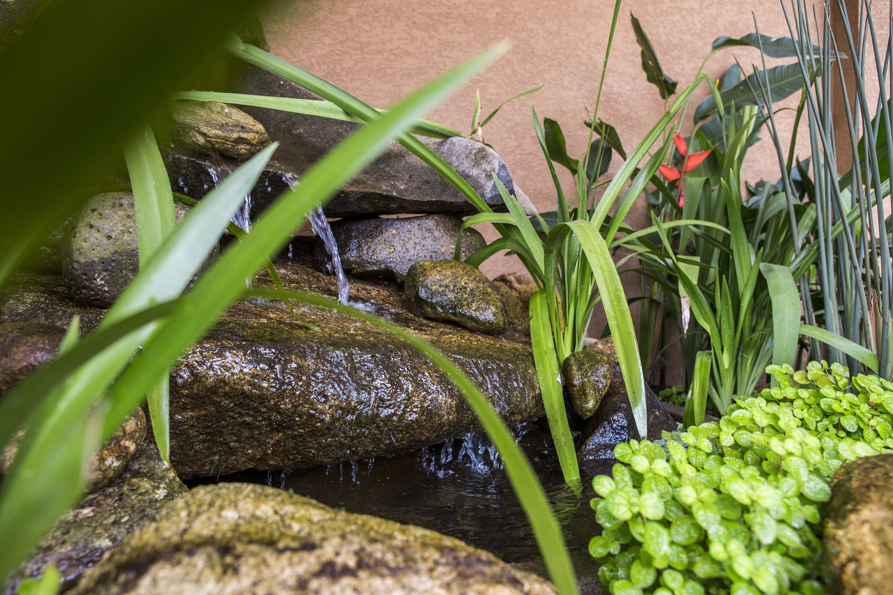 A small waterfall feature with rocks and green plants.