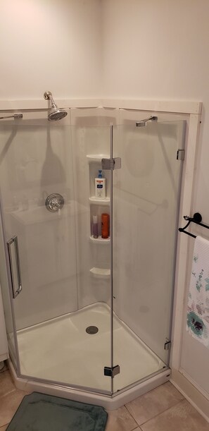 Hair dryer, towels, shampoo, toilet paper