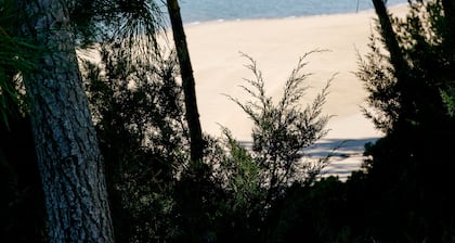 House on the beach Soltroia