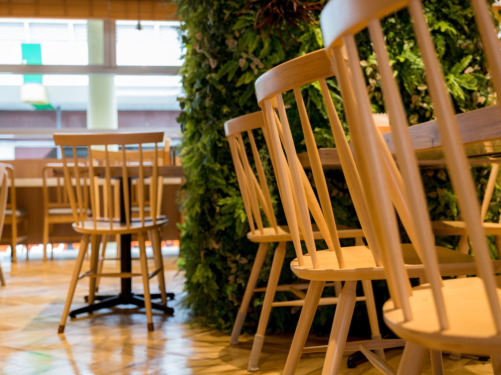 A row of wooden chairs with a green wall and a wooden floor.