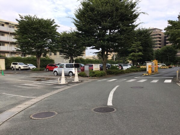 Un estacionamiento con autos, árboles y edificios al fondo.