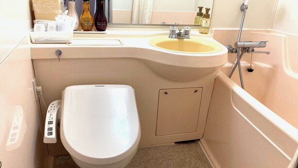 Une salle de bain avec des toilettes, un lavabo et une douche.