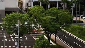 Um edifício com vários andares, com uma fachada de janelas dispostas em grade, cercado por vegetação e céu claro.