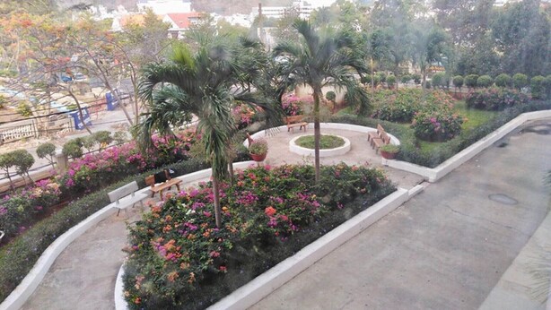 A landscaped garden with palm trees, benches, and flower beds. - WELCOME TO MOONLIGHT OSC (Tp. Vũng Tàu)