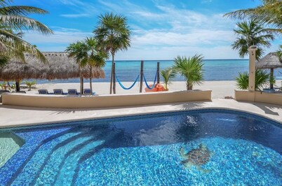 Premier snorkeling from this beautiful beachfront villa, pool, AC and WiFi!