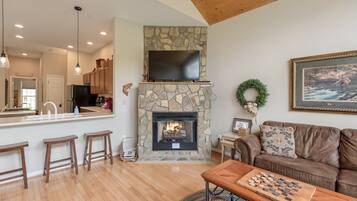 电视、壁炉、DVD 播放器