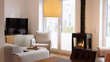 Smart TV, fireplace, video-game console, DVD player