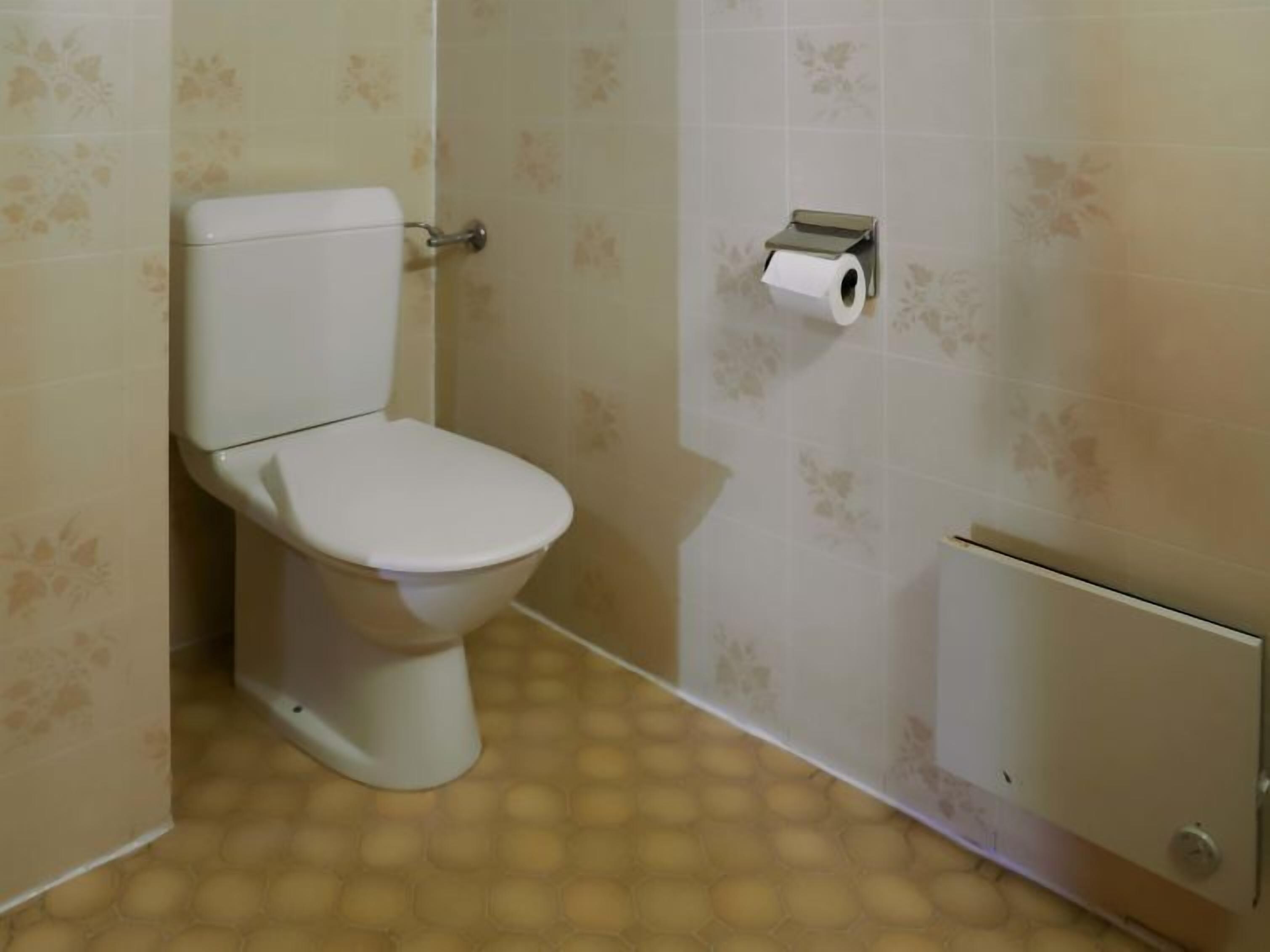 Une petite salle de bain comprenant des toilettes, un porte-rouleau de papier toilette et un radiateur.