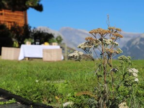 Property grounds - Peer Gynt by Interhome (Nendaz)