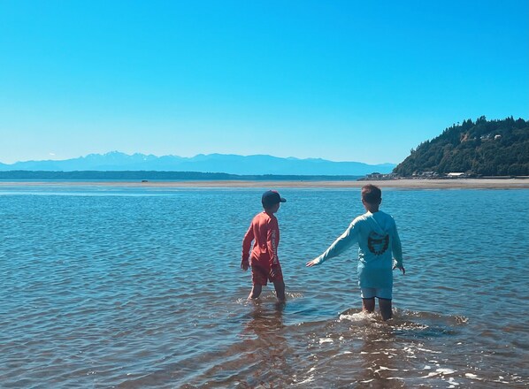 Two people standing in shallow water with a clear view of a beach and mountains in the background. - South Whidbey with water view, beach and hiking (Clinton)