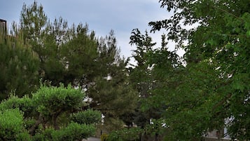 Ulkoalueet