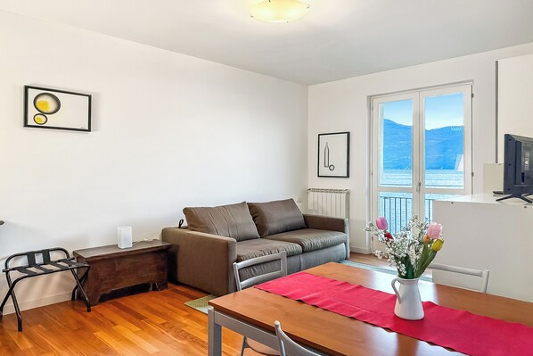 TV, fireplace, DVD player