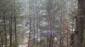 Property grounds - Arami Guesthouse (Dilijan)