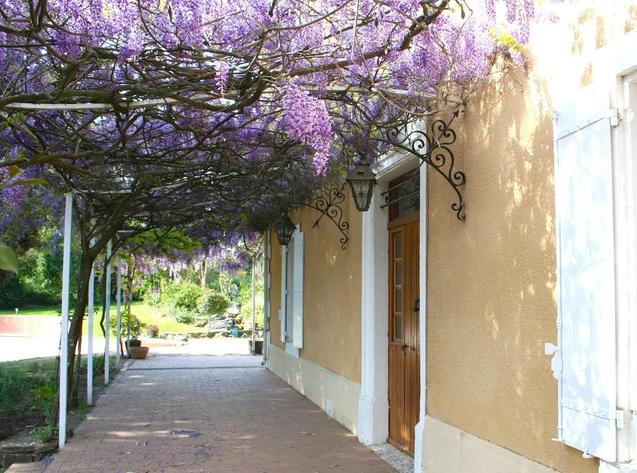 A covered walkway with a pergola adorned with purple flowers, a building entrance with a door, and a lamp post.