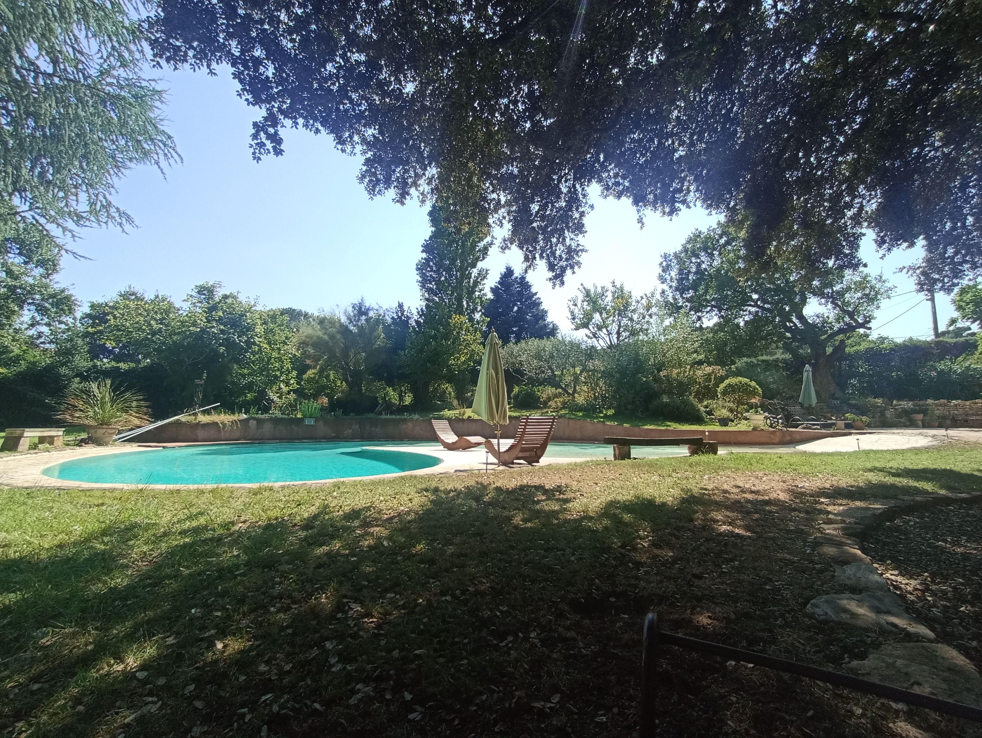 Un jardin avec une piscine, une terrasse en bois et un grand arbre qui offre de l’ombre.