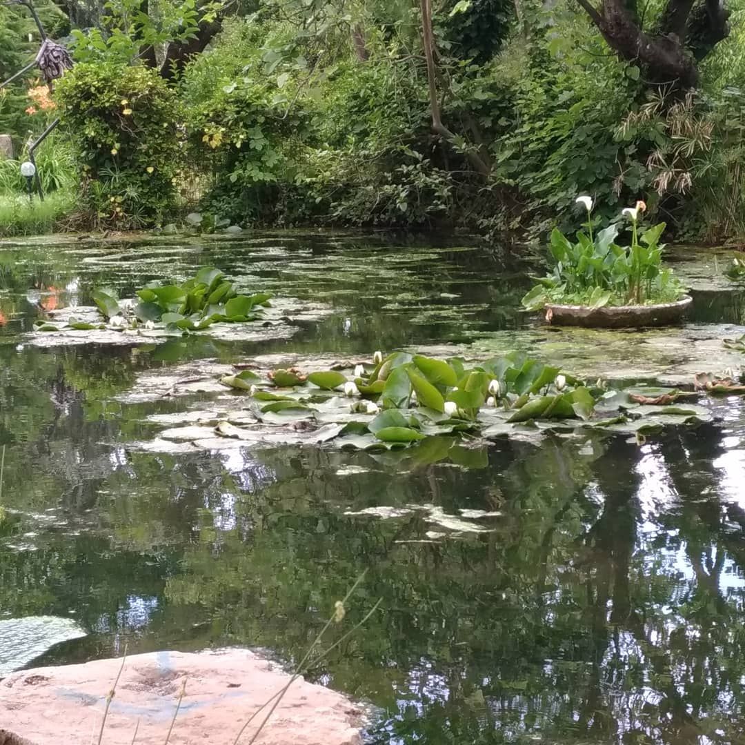 外部細節