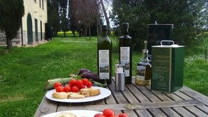 Une table dressée pour un pique-nique, avec des assiettes de pain et de tomates, des bouteilles de vin et une bouteille d’huile d’olive, le tout posé sur une table en bois dans un jardin.