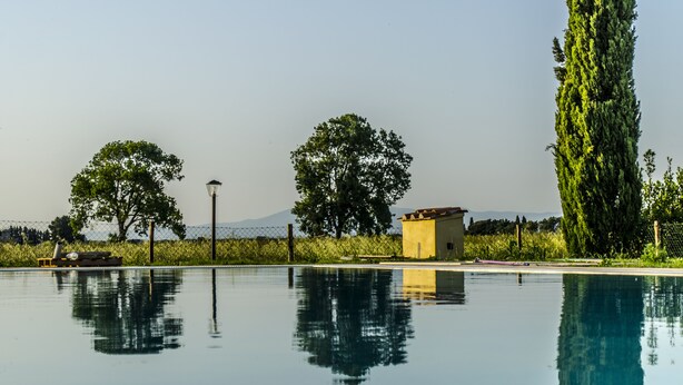Une piscine à l’eau claire dans laquelle se reflètent les arbres et un bâtiment.