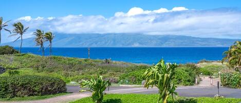 الإطلالة من المنشأة