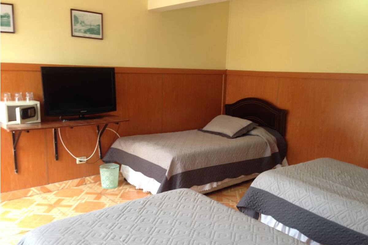 Triple Room, 3 Single Beds