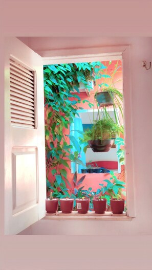 Quadruple Room | Garden view - Pousada Jericó (Jijoca de Jericoacoara)