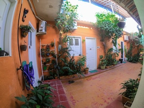 Jardim