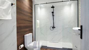 Apartment, 1 Queen Bed with Sofa bed, Patio | Bathroom | Hair dryer, towels, toilet paper