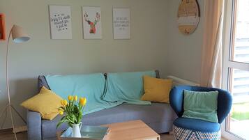 電視、電子遊戲、DVD 播放機、書籍