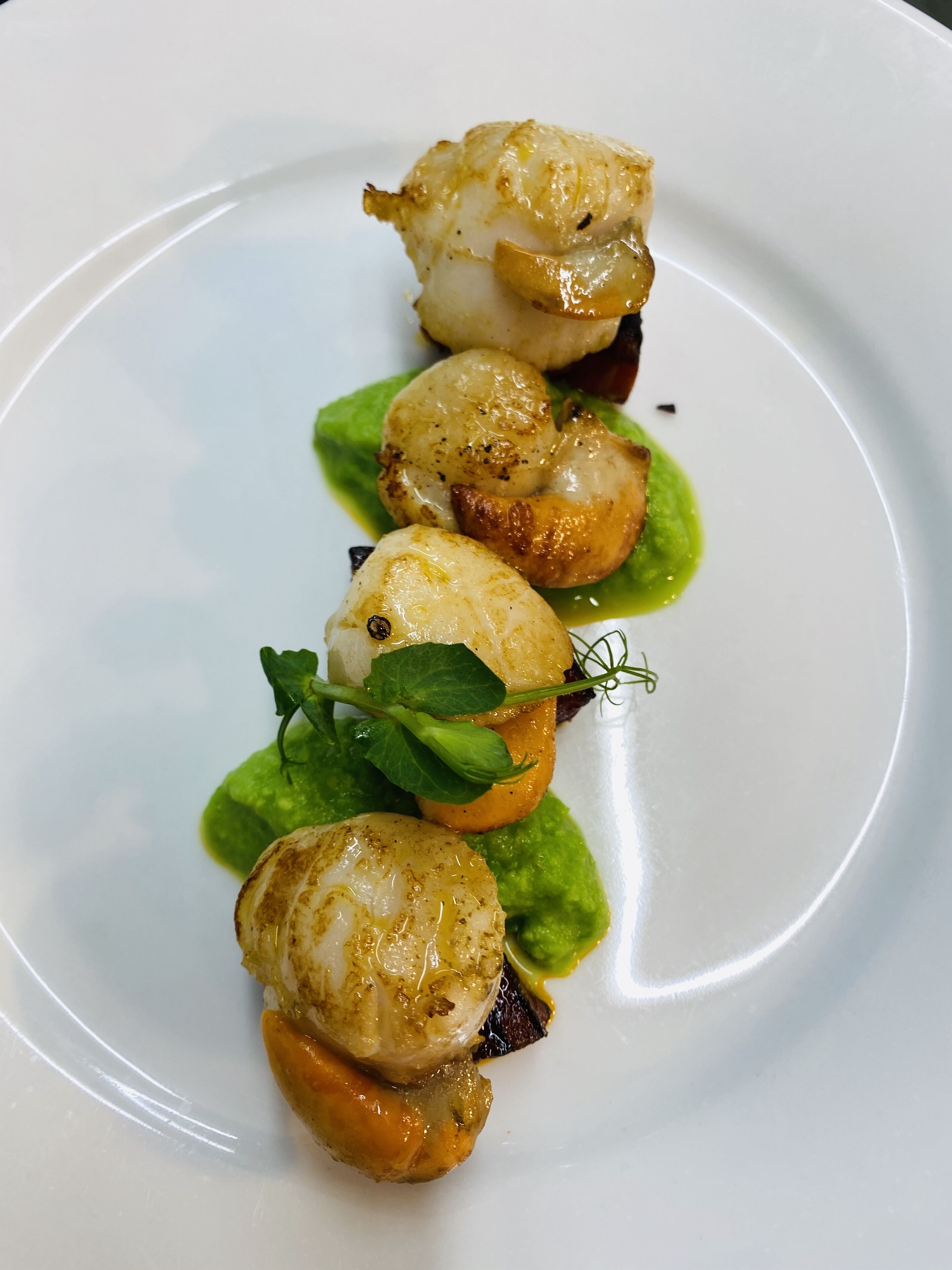 A white plate with four scallops, green sauce, and a garnish.