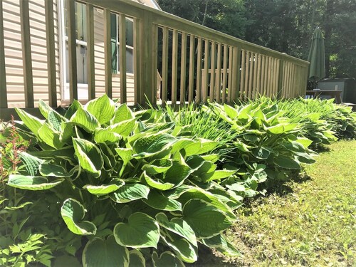 Port Sanilac - Lexington area, Country Setting "Home Away from Home"