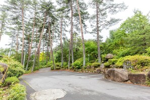 A paved road surrounded by dense trees and greenery.