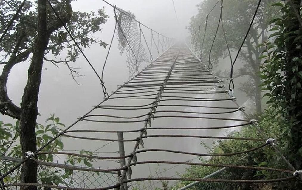 A suspension bridge in a misty forest.