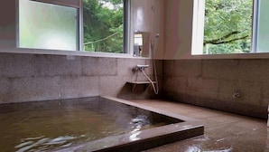 Área de spa com hidromassagem, chuveiro e vista para o verde através de grandes janelas.