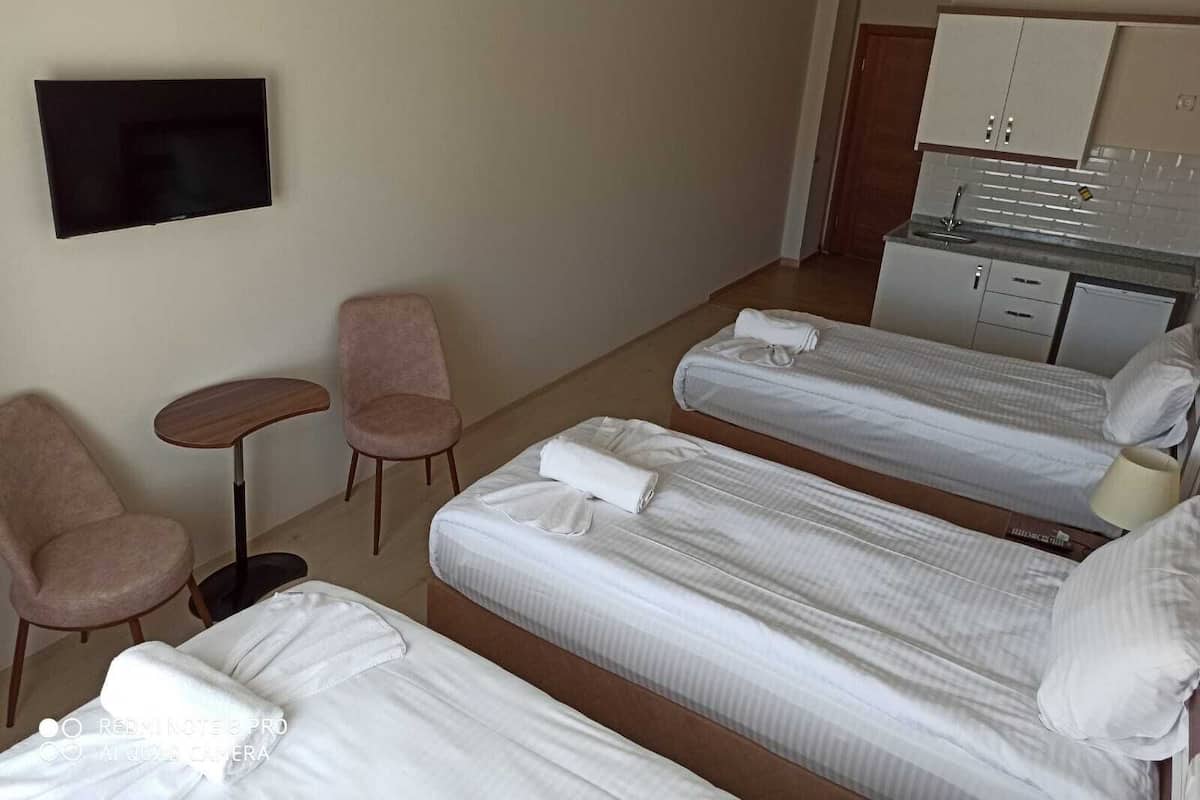 Basic Triple Room