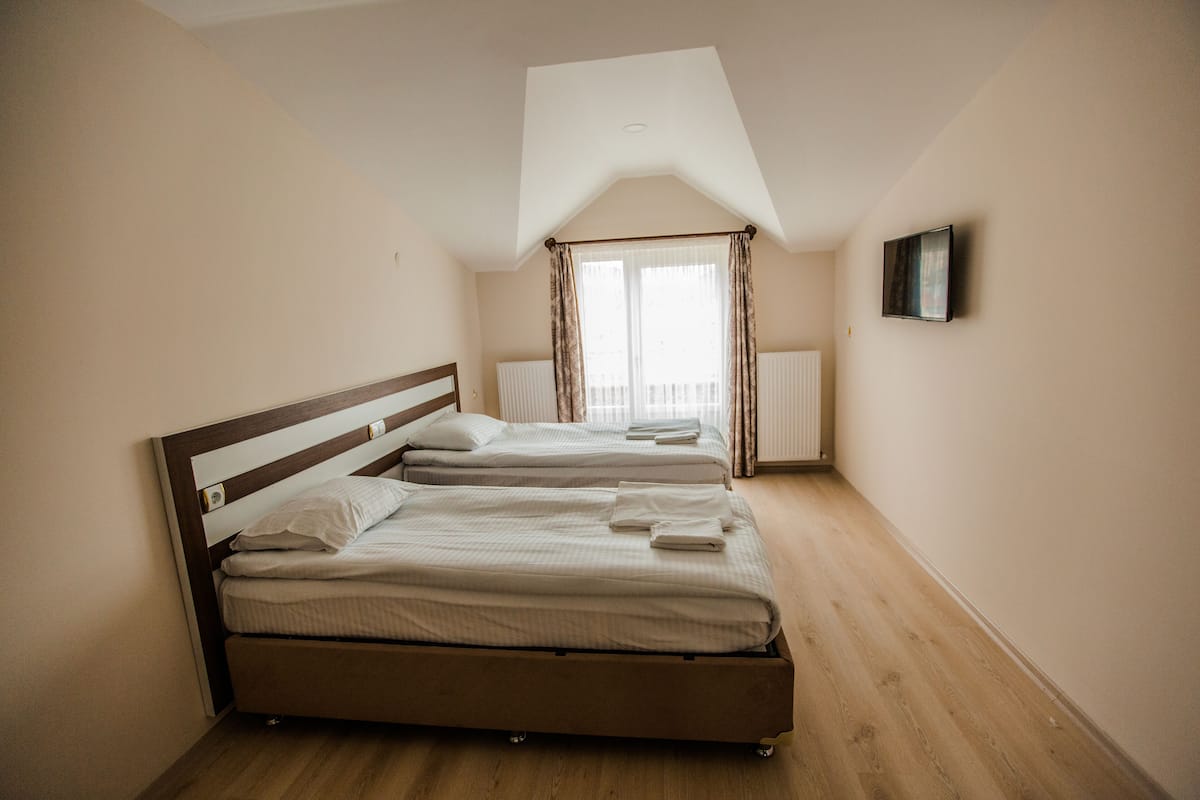Basic Double or Twin Room