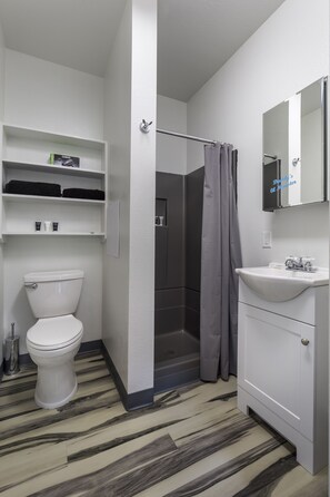 Hair dryer, towels, soap, shampoo