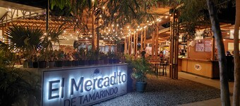 Condo in Tamarindo Beach