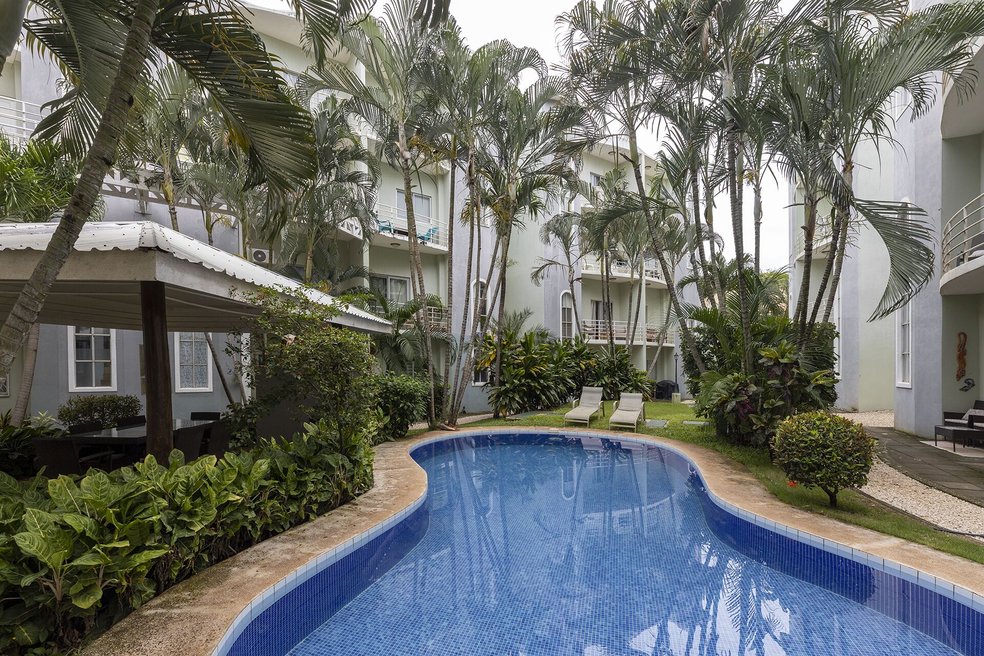 Piscina cercada por palmeiras e um edifício com varandas.