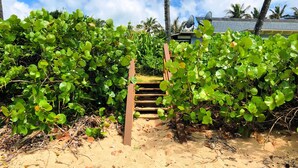 A sandy pathway leading to a wooden staircase surrounded by lush green foliage.
