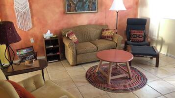 TV, DVD player, books, video library